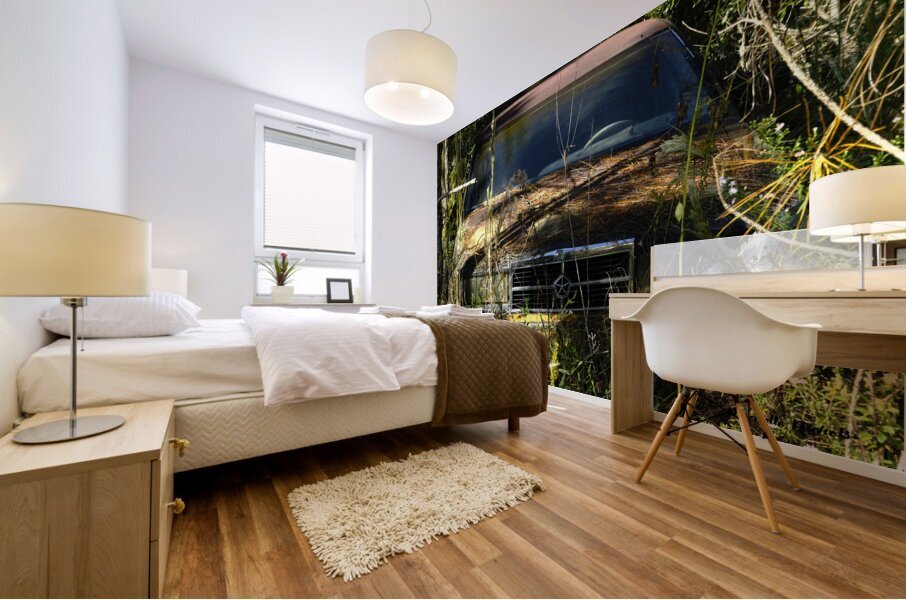 Forgotten Impression murale