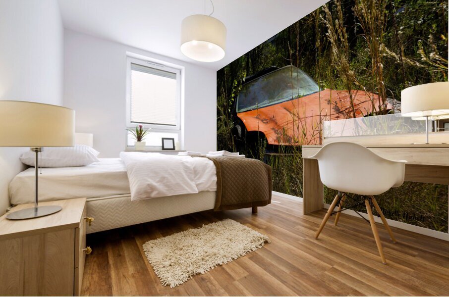 Where Is My Car Mural print