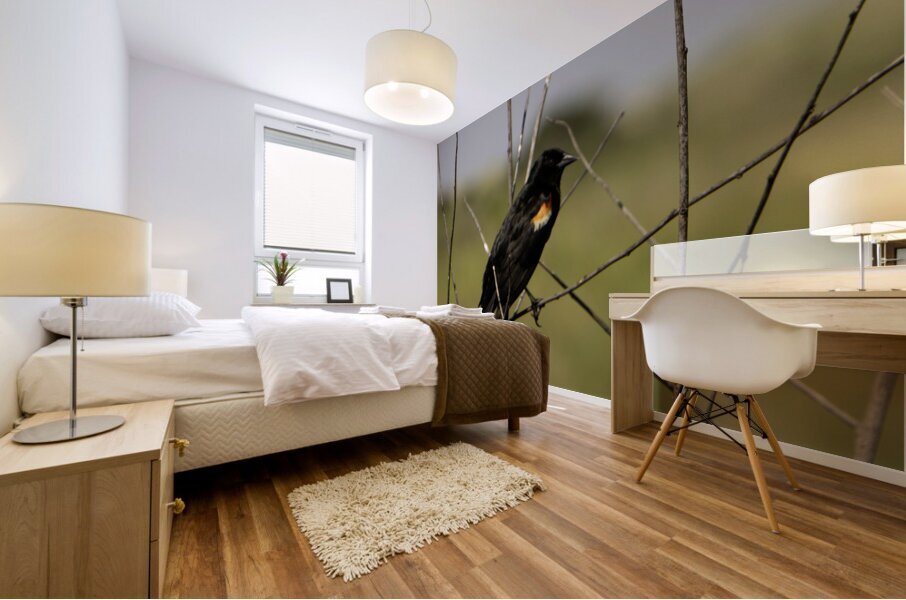 Red winged Blackbird Impression murale