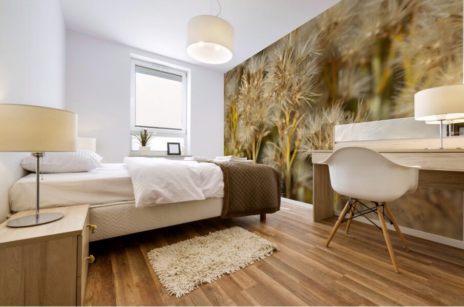 Seed Head Whisps Impression murale