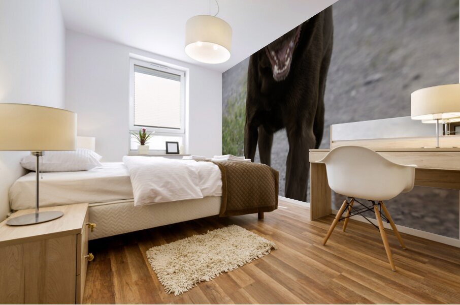 Shiner on the Run Mural print