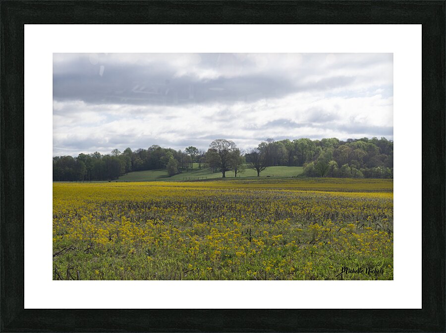 Keith Spring Mtn Valley Picture Frame print