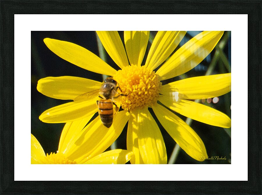 Bee The Flower Impression et Cadre photo