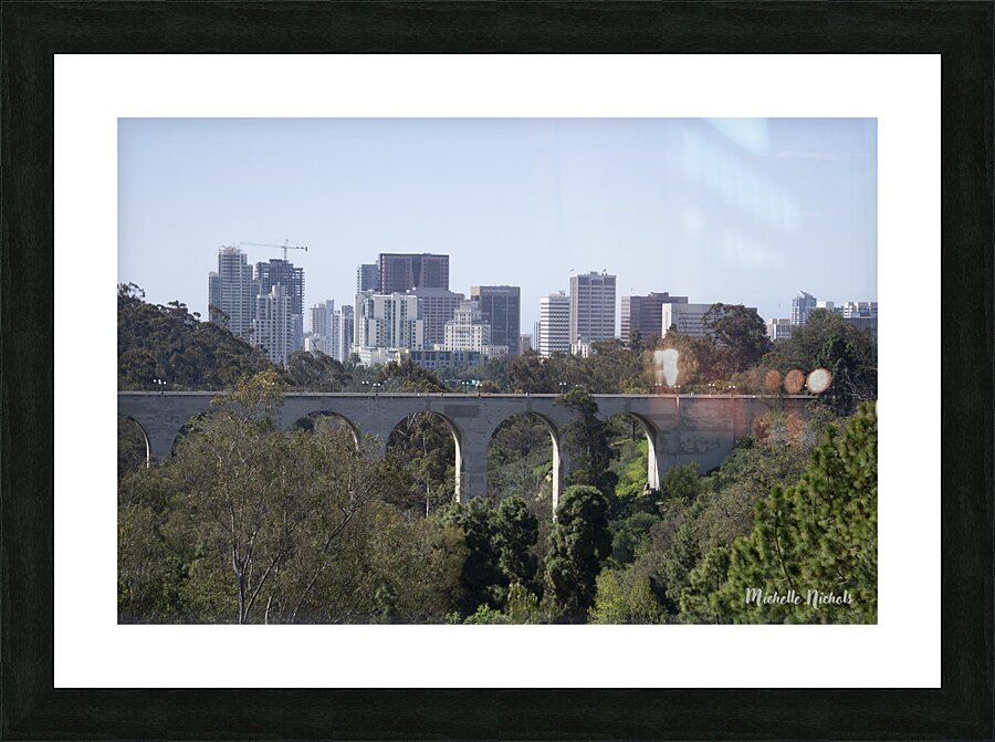 Bridge at the San Diego Zoo Picture Frame print