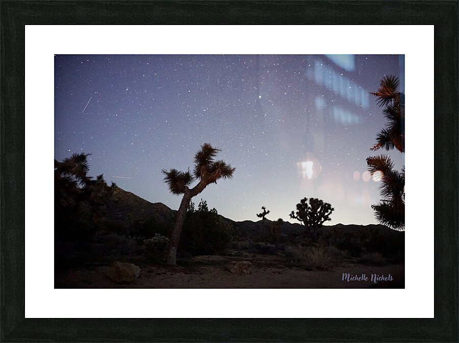 Joshua Tree National Park Picture Frame print