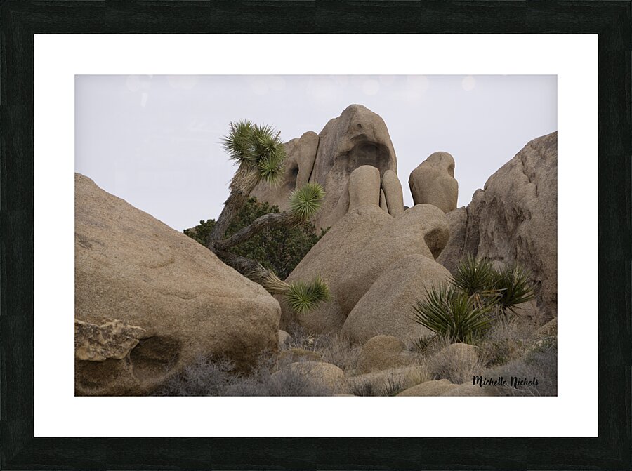 Joshua Tree Bolders Picture Frame print