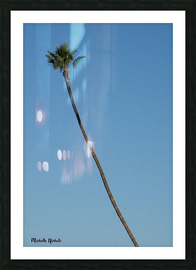 Just One Palm Tree Picture Frame print