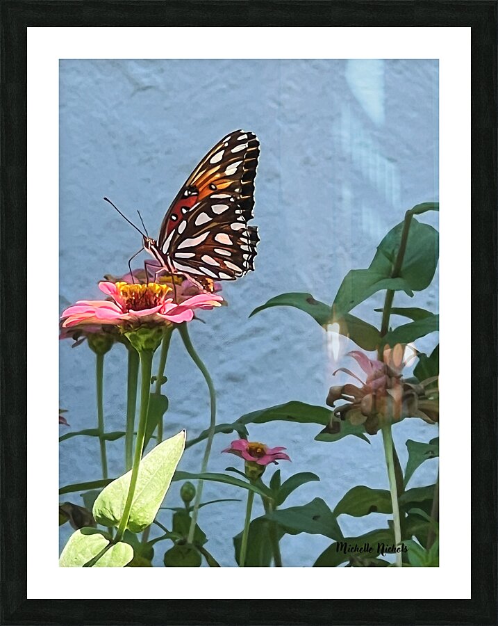 Southern Royalty In Bloom copy Impression et Cadre photo