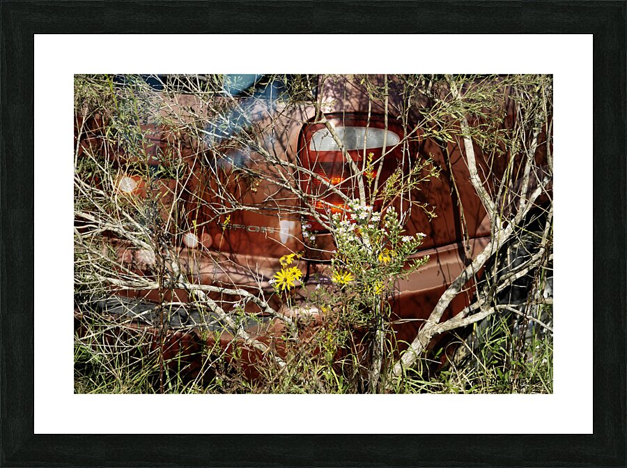 A Beautiful Bouquet Picture Frame print