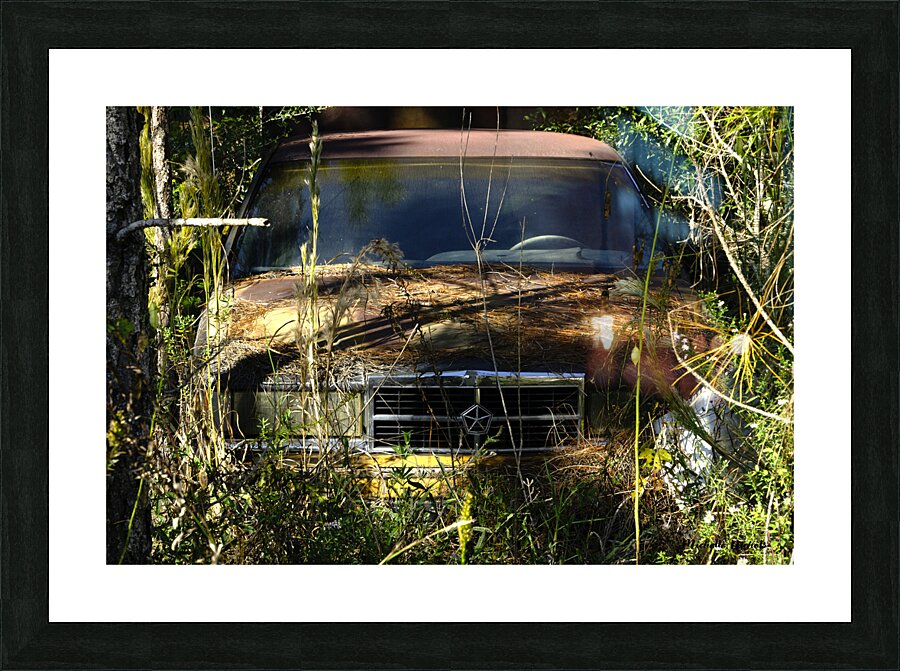 Forgotten Impression et Cadre photo