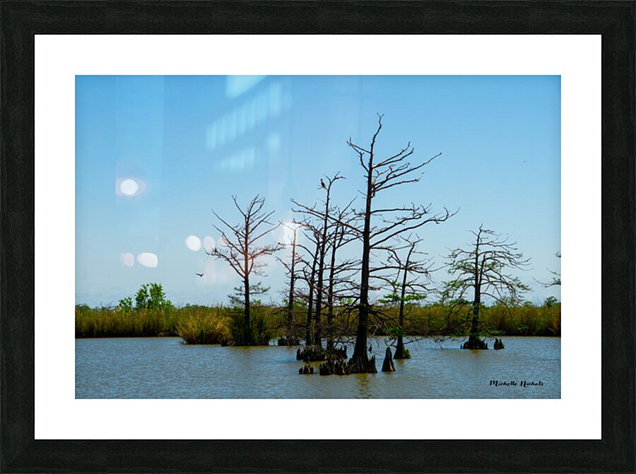 Venice LA Picture Frame print