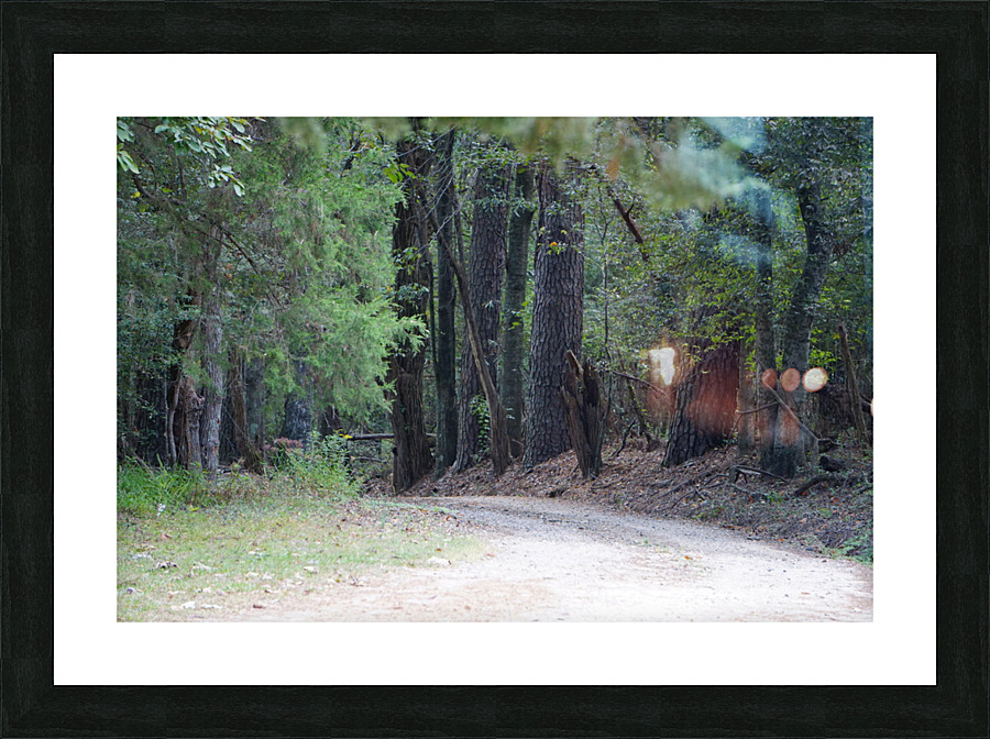 A Country Lane Picture Frame print