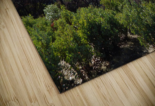 On Mount Chemise Michelle Nichols puzzle