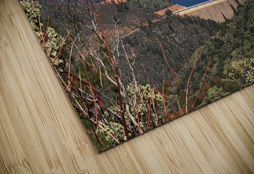 Shasta Lake Michelle Nichols puzzle