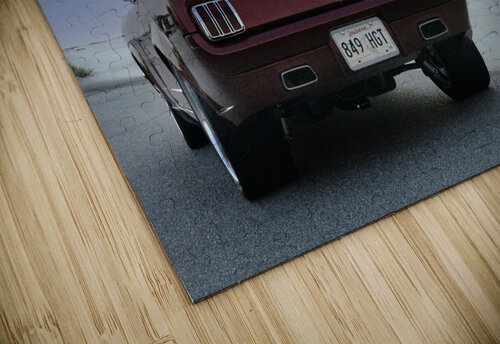 Thelma 2 Michelle Nichols puzzle