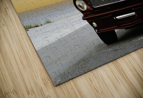 Thelma On The Beach Michelle Nichols puzzle