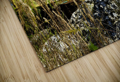 Aluminum Mound Michelle Nichols puzzle