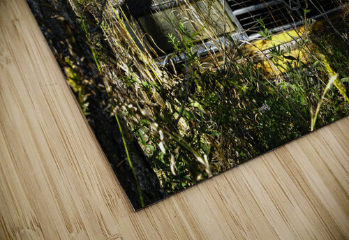 Forgotten Michelle Nichols puzzle