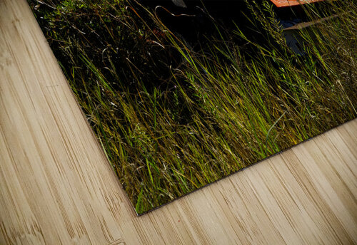 Where Is My Car Michelle Nichols puzzle