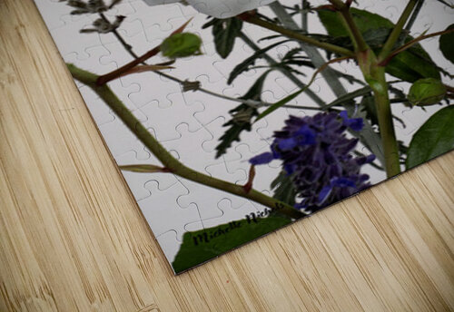 White Rose and Anise Hyssop Michelle Nichols puzzle