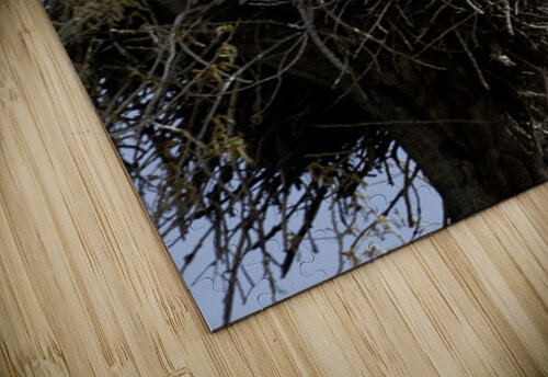 Eagle Couple Michelle Nichols puzzle