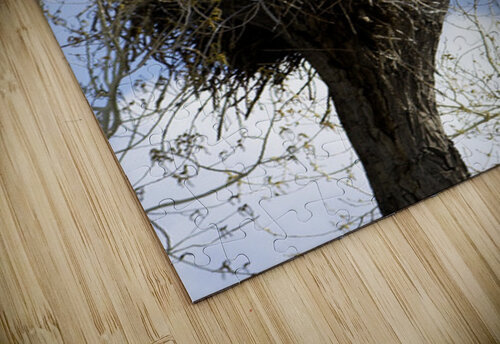 Bringing the Groceries Michelle Nichols puzzle