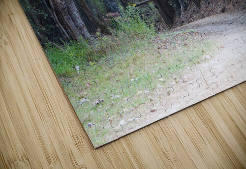 A Country Lane Michelle Nichols puzzle