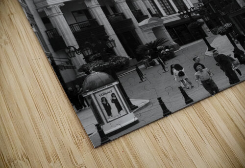 Stefano Ricci BW Michelle Nichols puzzle