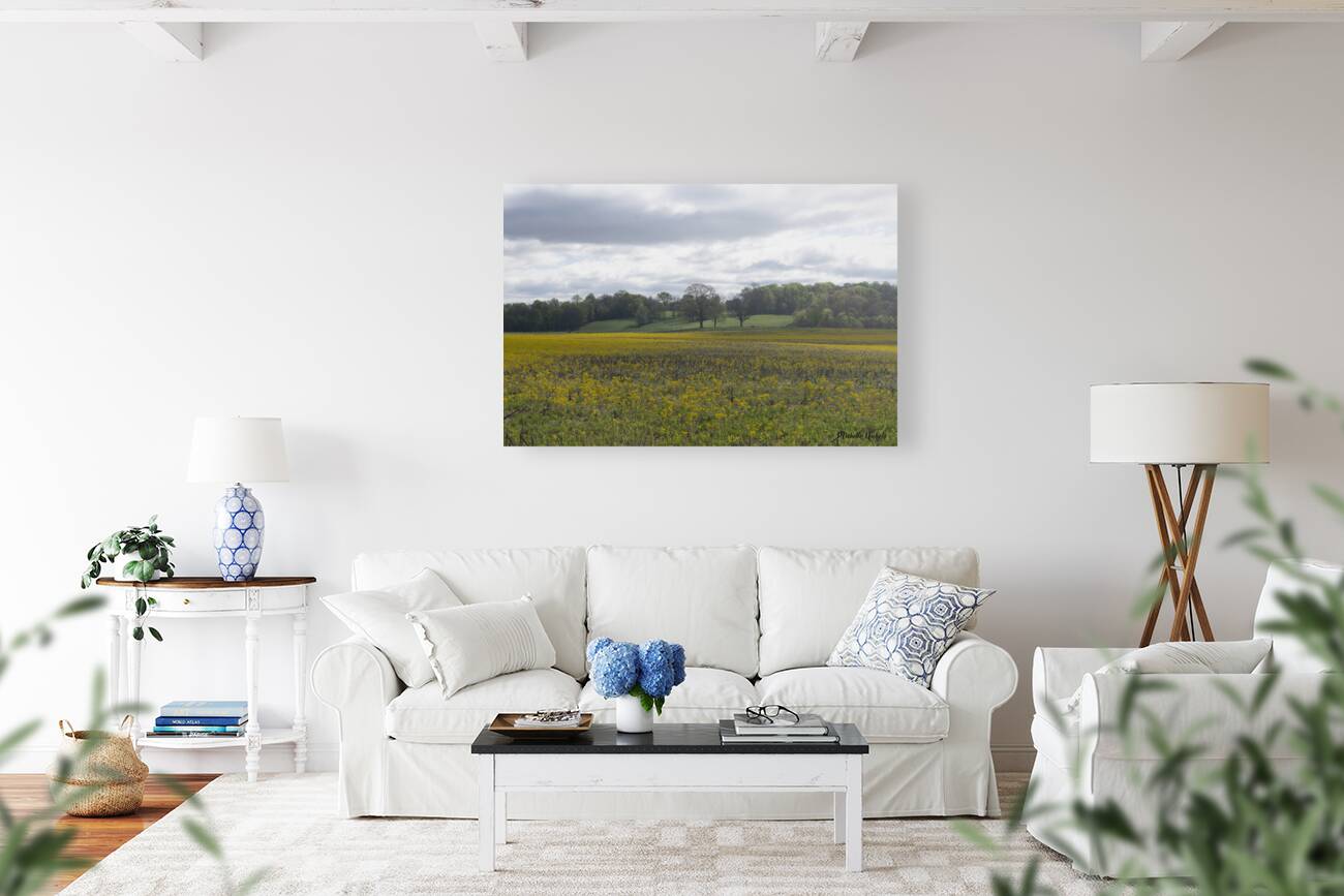 Keith Spring Mtn Valley Reproduction