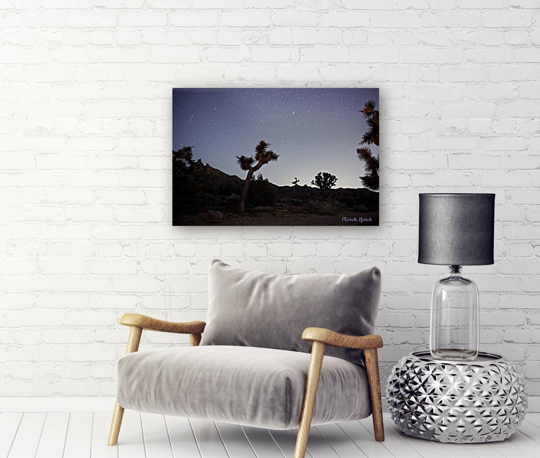 Joshua Tree National Park Reproduction