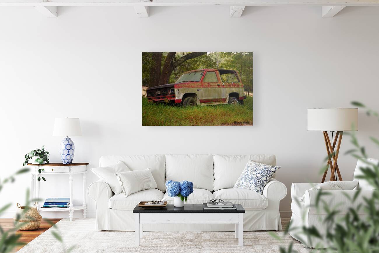 Old Bronco Reproduction