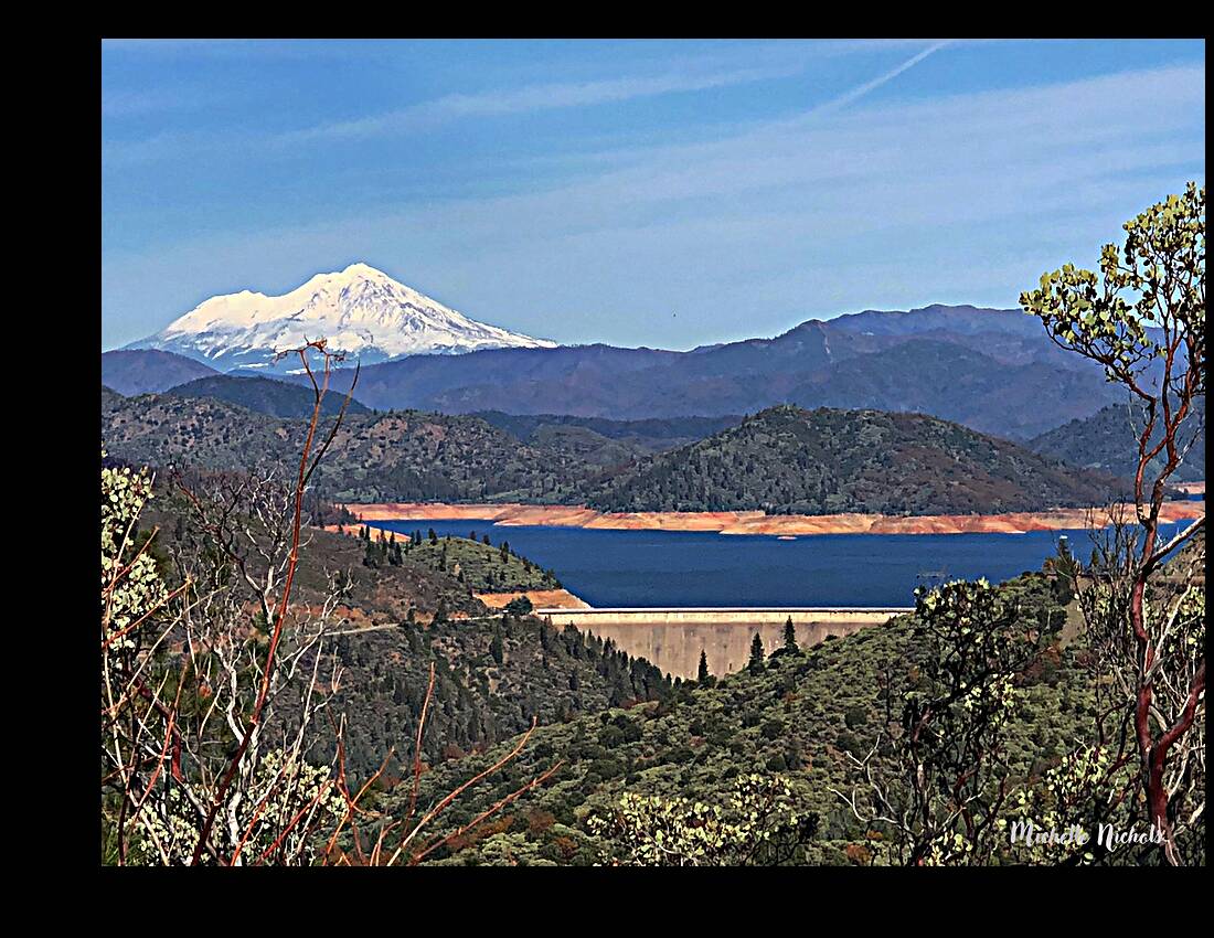 Shasta Lake Reproduction