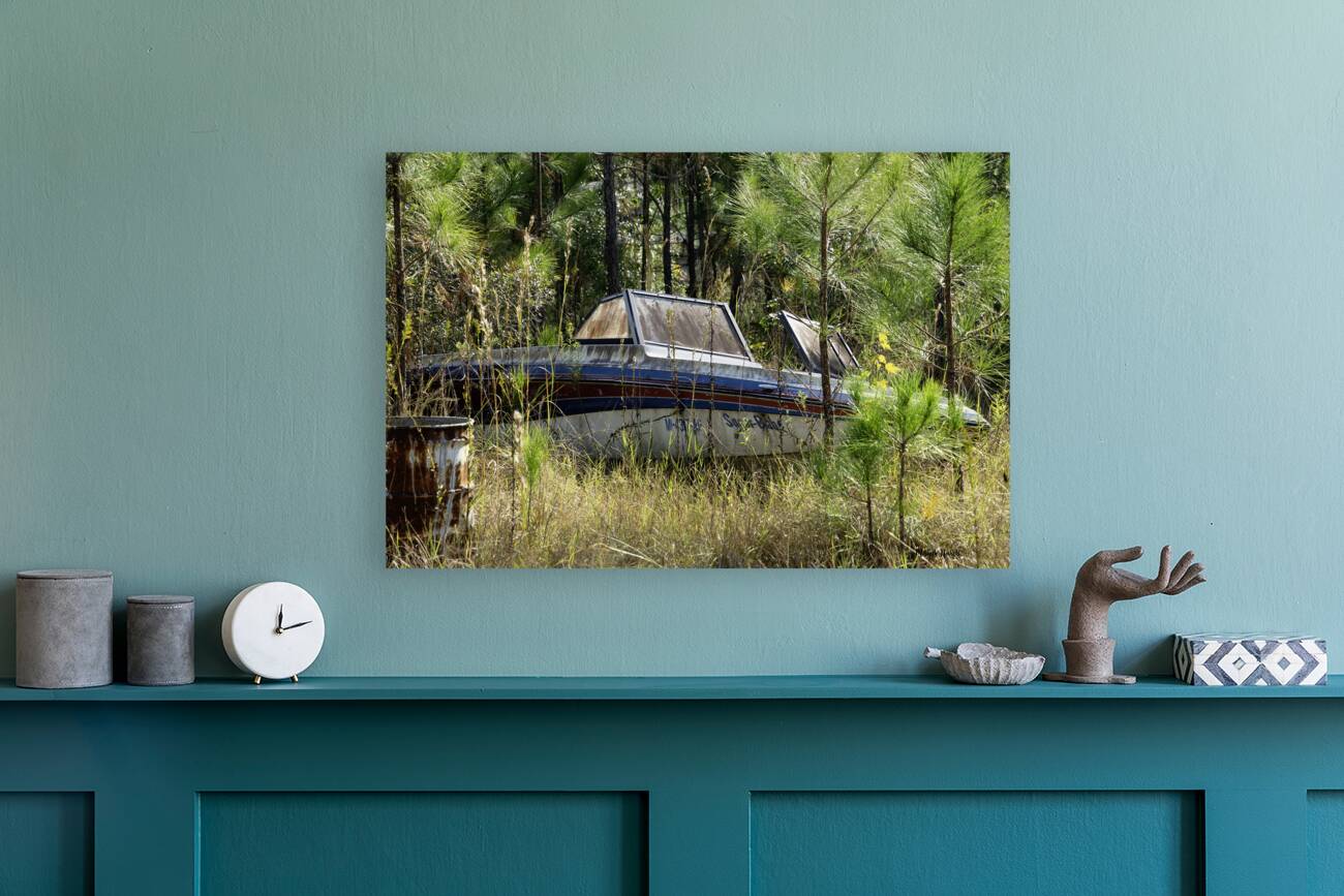 Sugar Babe Reproduction