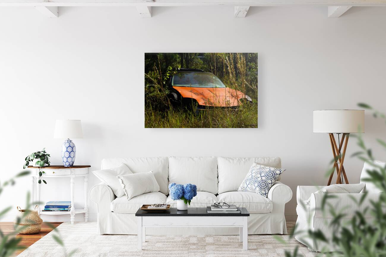 Where Is My Car Reproduction