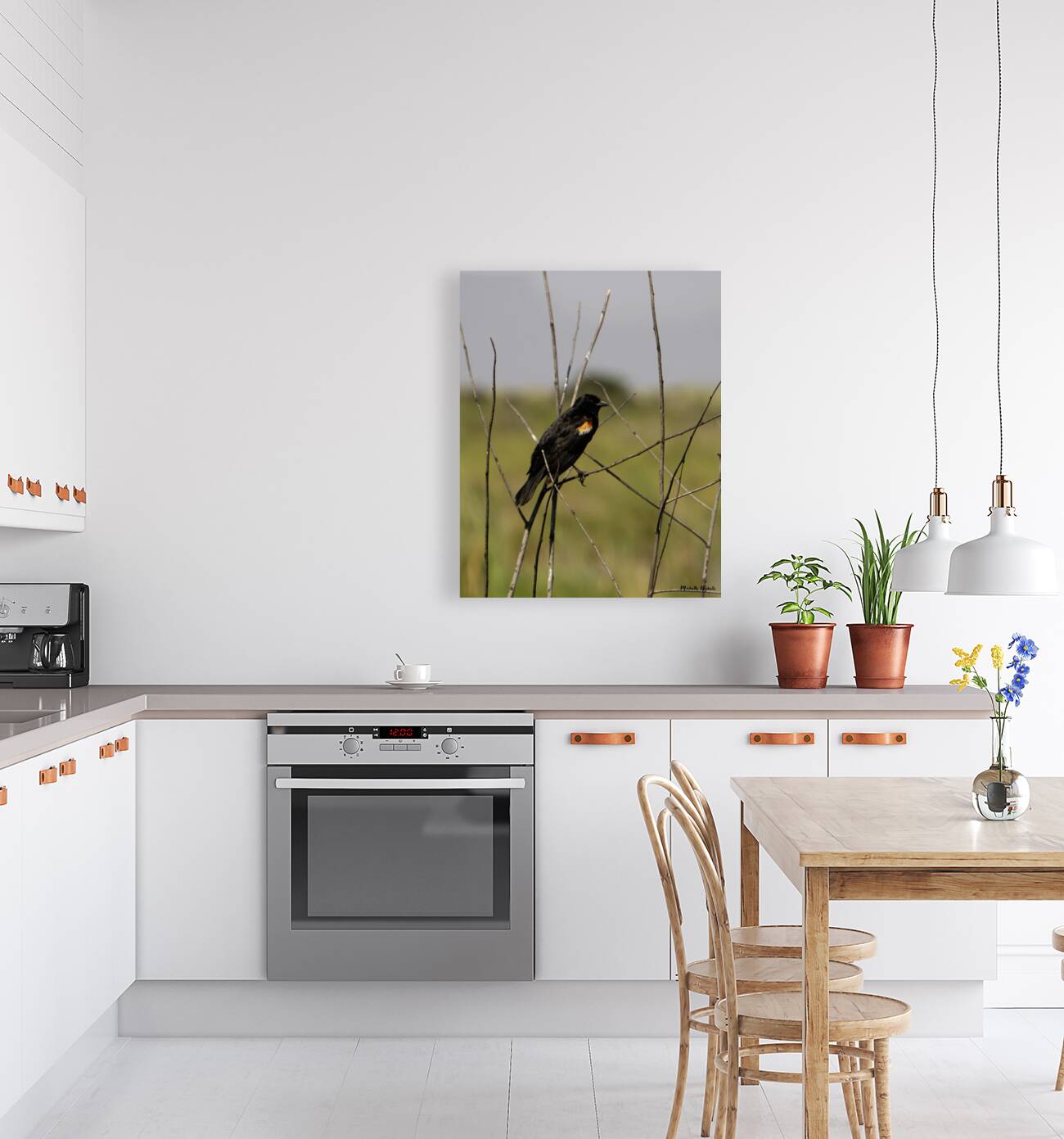 Red winged Blackbird Reproduction