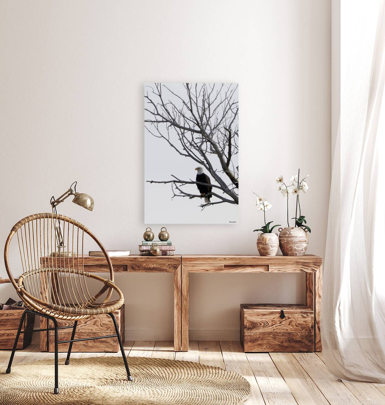 Eagle 5 Reproduction