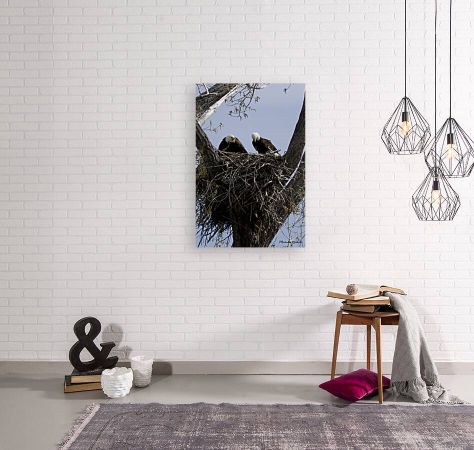 Eagle Couple Reproduction