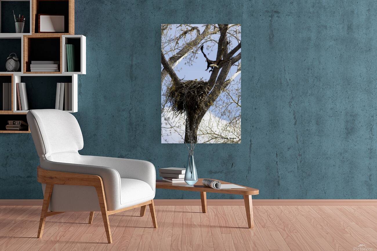 Bringing the Groceries Reproduction