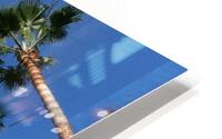 Palm Trees HD Metal print