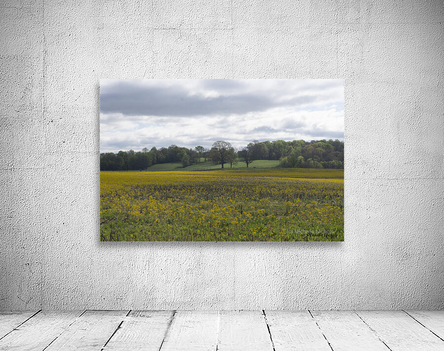 Keith Spring Mtn Valley Wall Preview