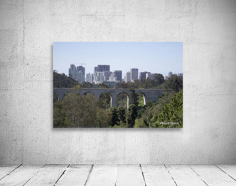 Bridge at the San Diego Zoo Wall Preview