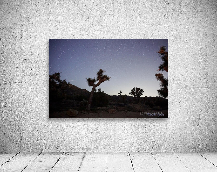 Joshua Tree National Park Wall Preview