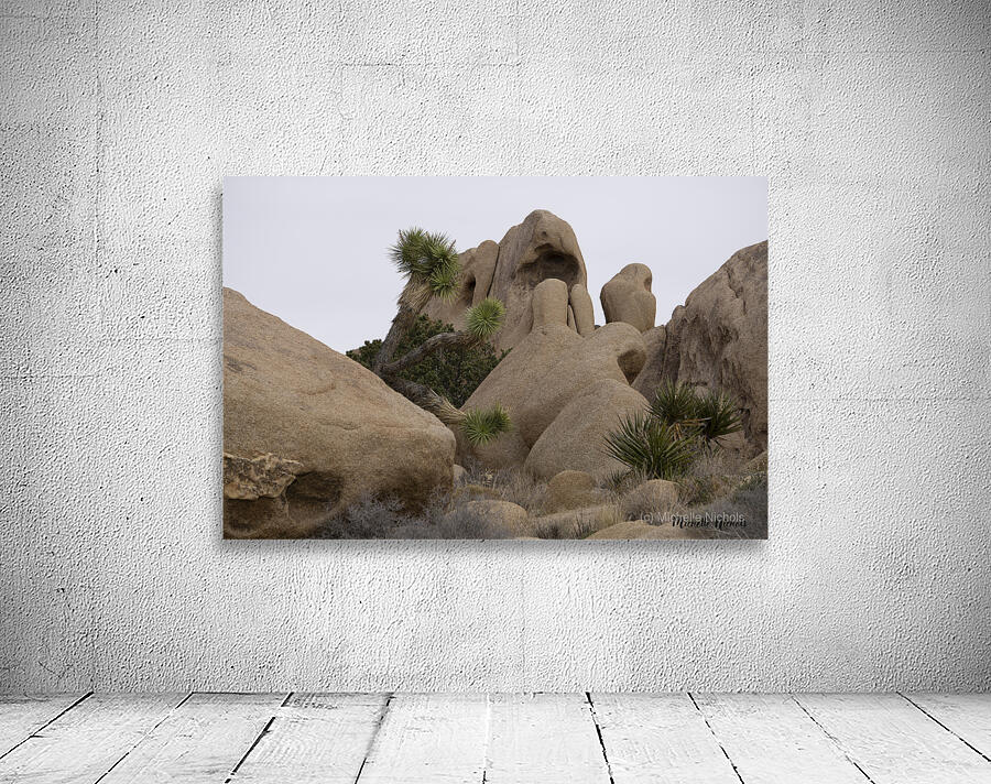 Joshua Tree Bolders Wall Preview