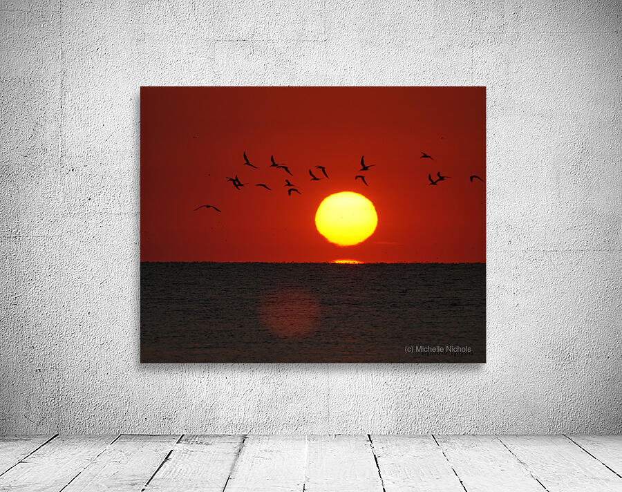 Sailor s Warning Wall Preview