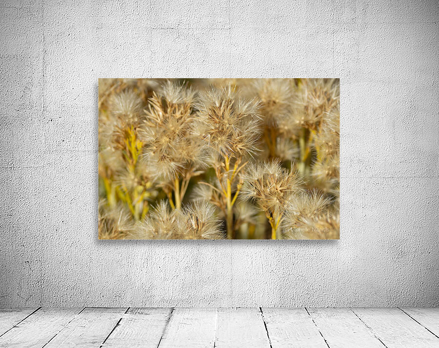 Seed Head Whisps Wall Preview