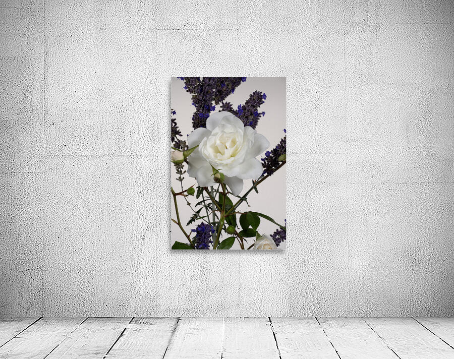 White Rose and Anise Hyssop Wall Preview