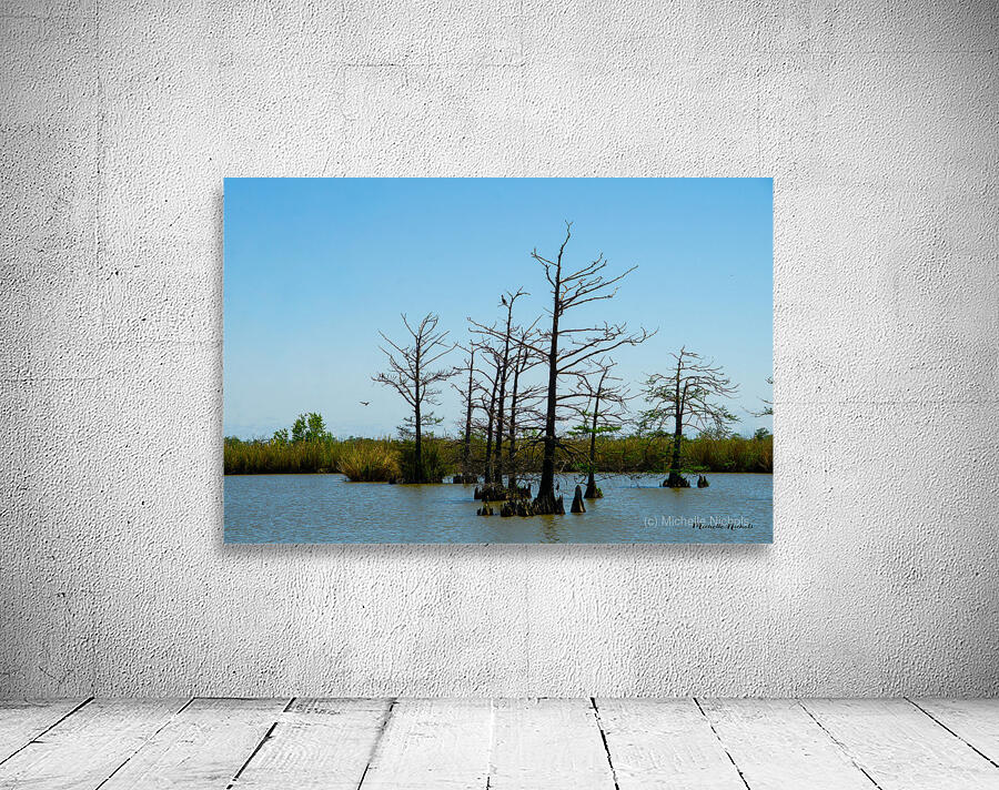 Venice LA Wall Preview