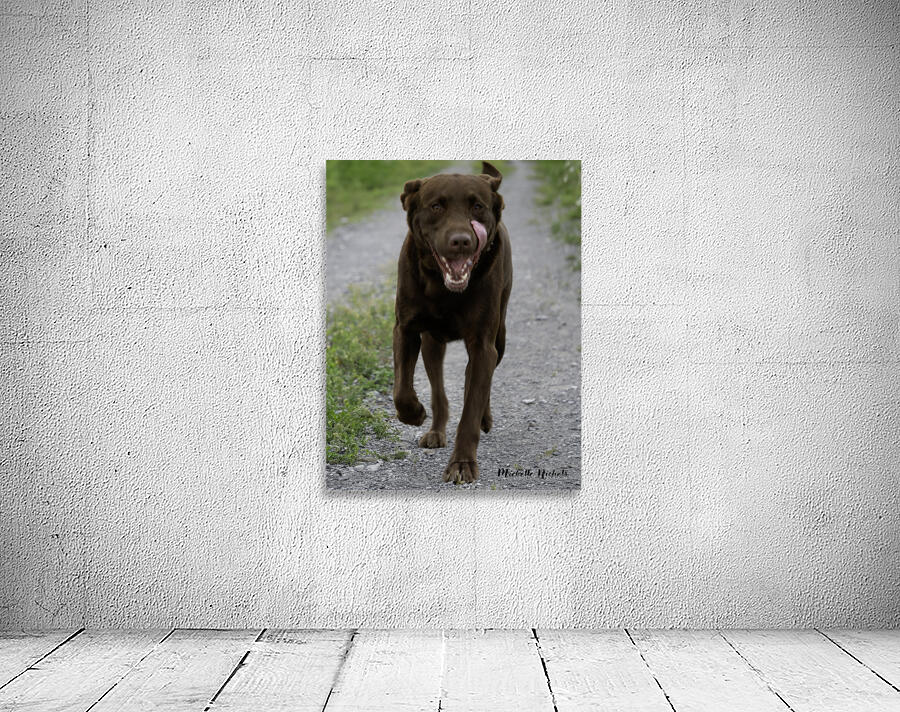 Shiner on the Run Wall Preview