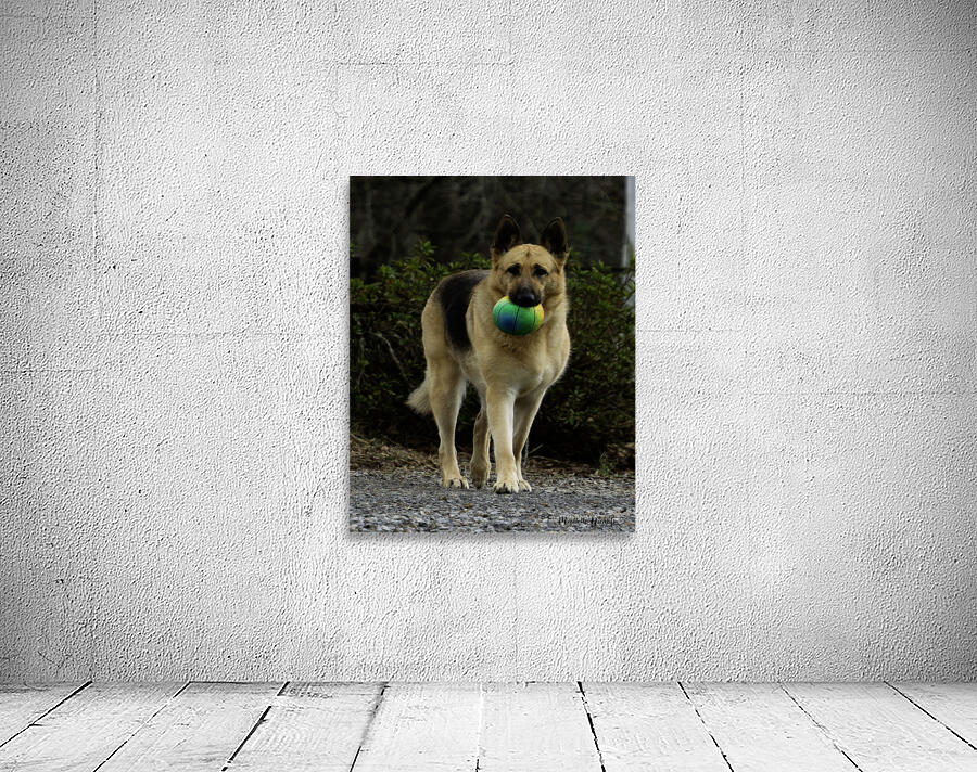 Lara Foster Wall Preview