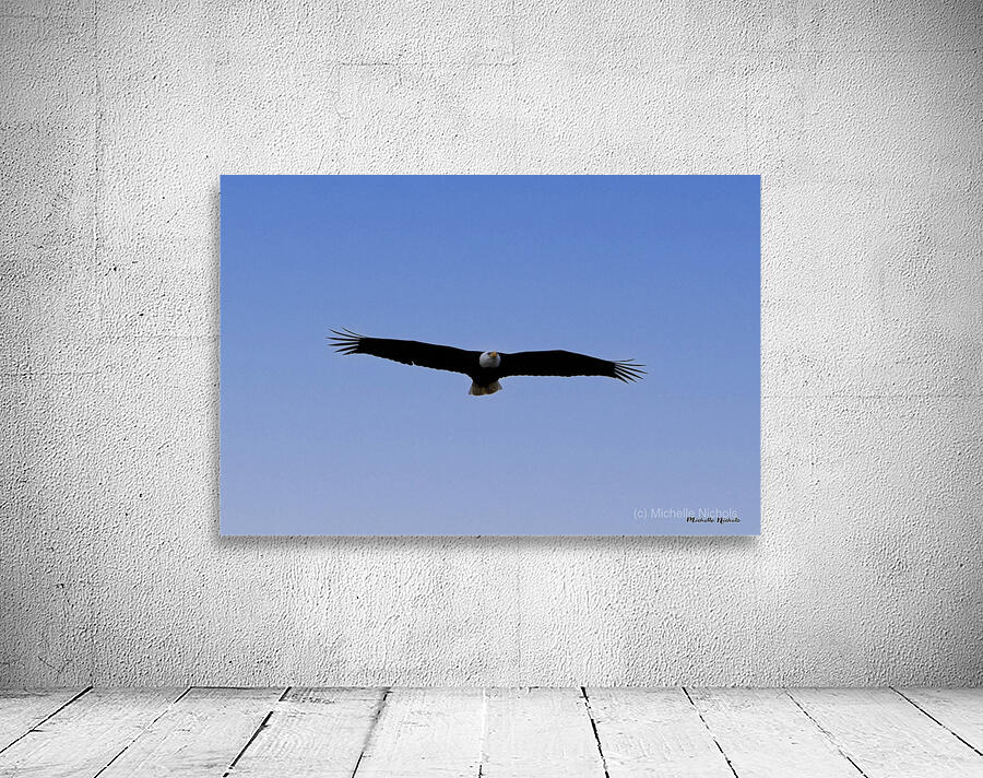 Soaring Wall Preview